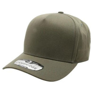 CAMBRIDGE 5 PANEL HIGH FRAME