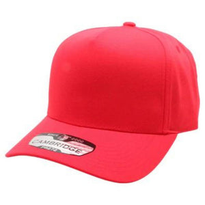 CAMBRIDGE 5 PANEL HIGH FRAME