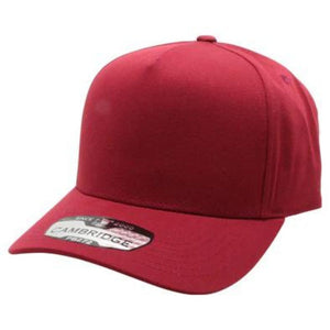 CAMBRIDGE 5 PANEL HIGH FRAME